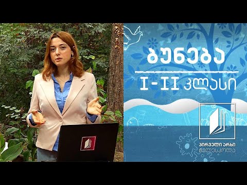 ბუნება, I-II კლასი - ცოცხალი და არაცოცხალი #ტელესკოლა